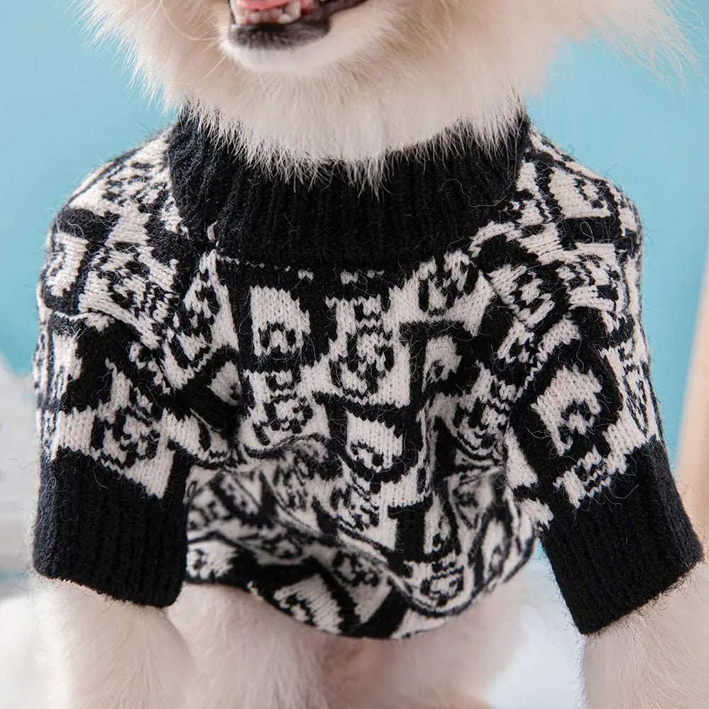 Blackie - Habit chic - MyPetsFriends