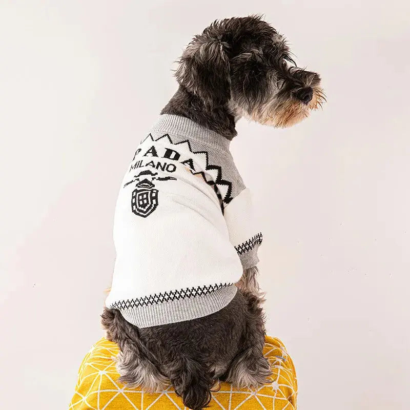 Sinay - Habit chic - MyPetsFriends