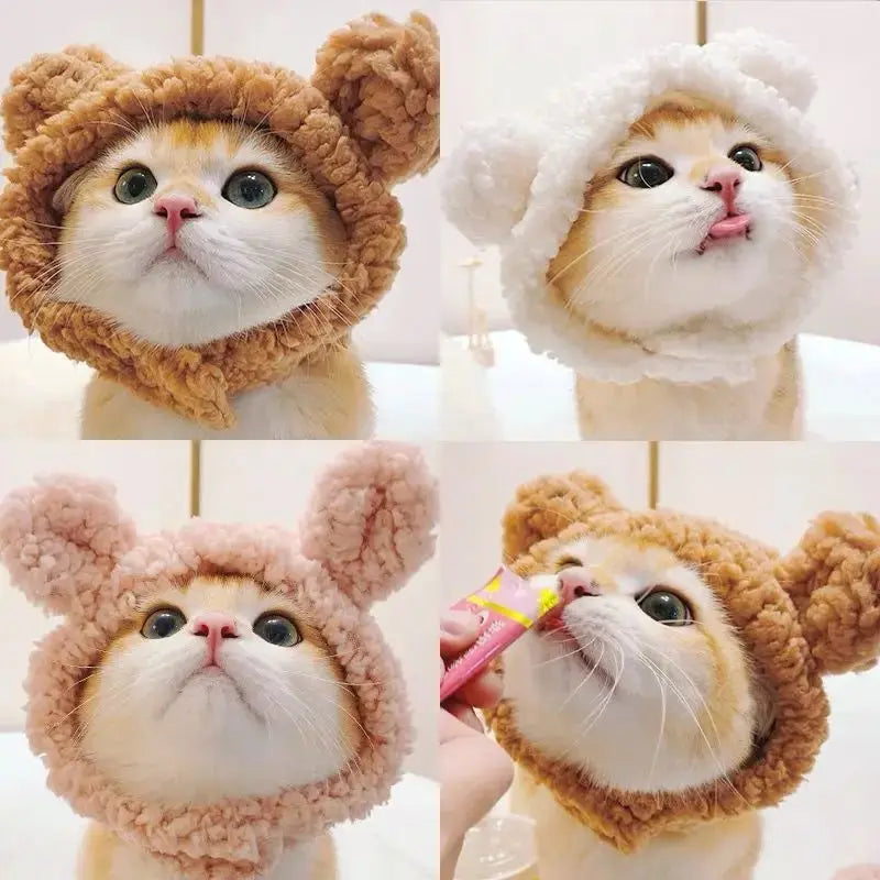 Winnie - Bonnet chic - MyPetsFriends