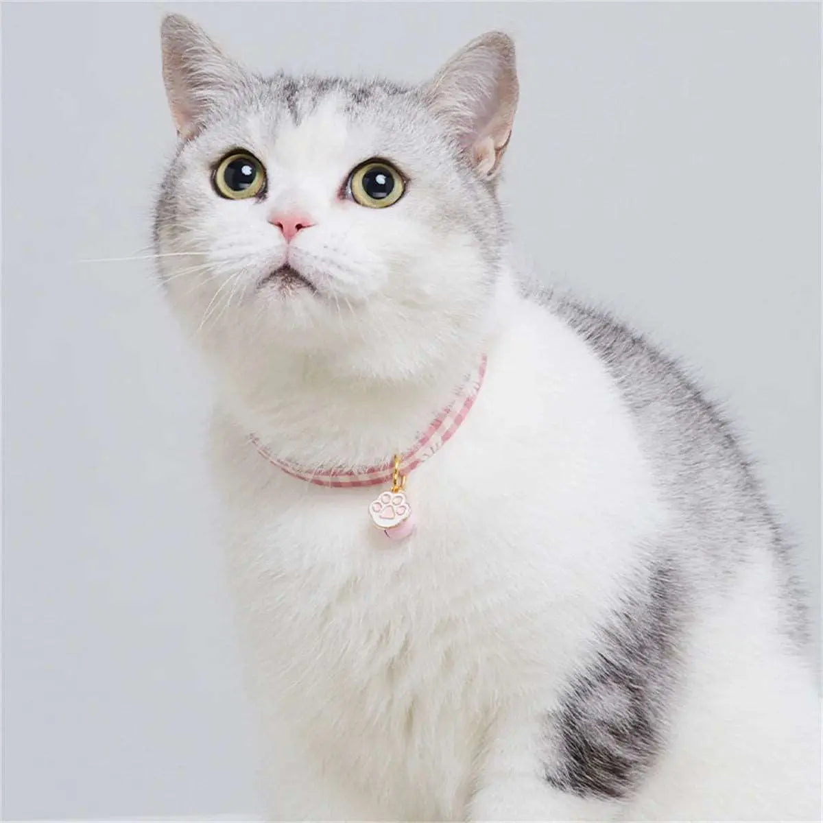 Candy - Collier chic - MyPetsFriends