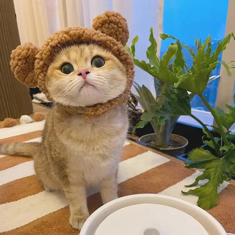 Winnie - Bonnet chic - MyPetsFriends