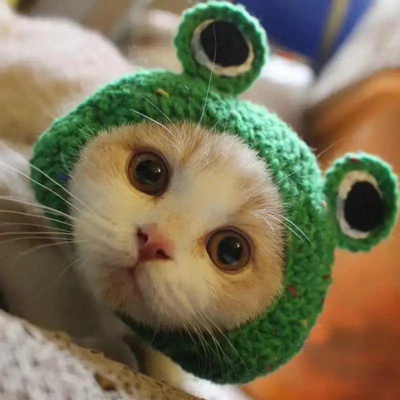 Bobo - Bonnet chic - MyPetsFriends