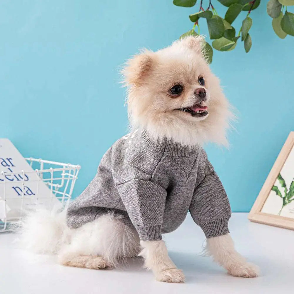 Sinay - Habit chic - MyPetsFriends