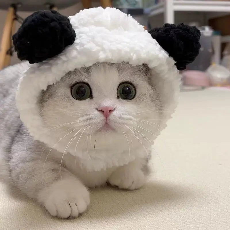 Winnie - Bonnet chic - MyPetsFriends