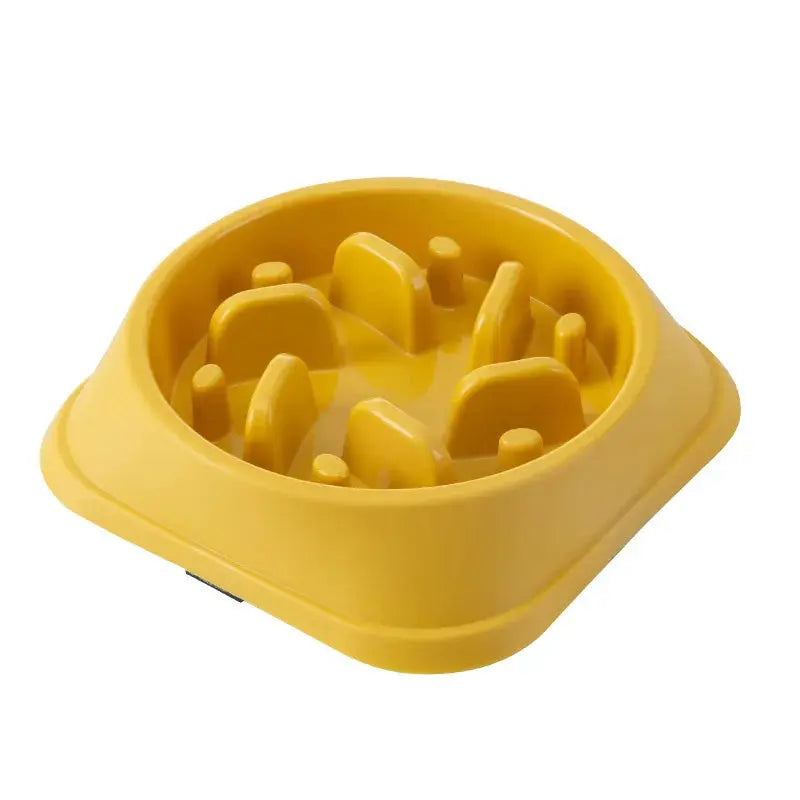 Foody - Gamelle - MyPetsFriends