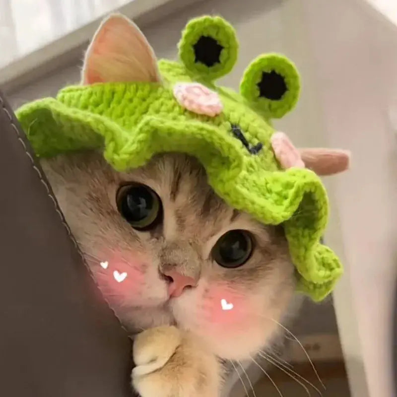 Bobo - Bonnet chic - MyPetsFriends