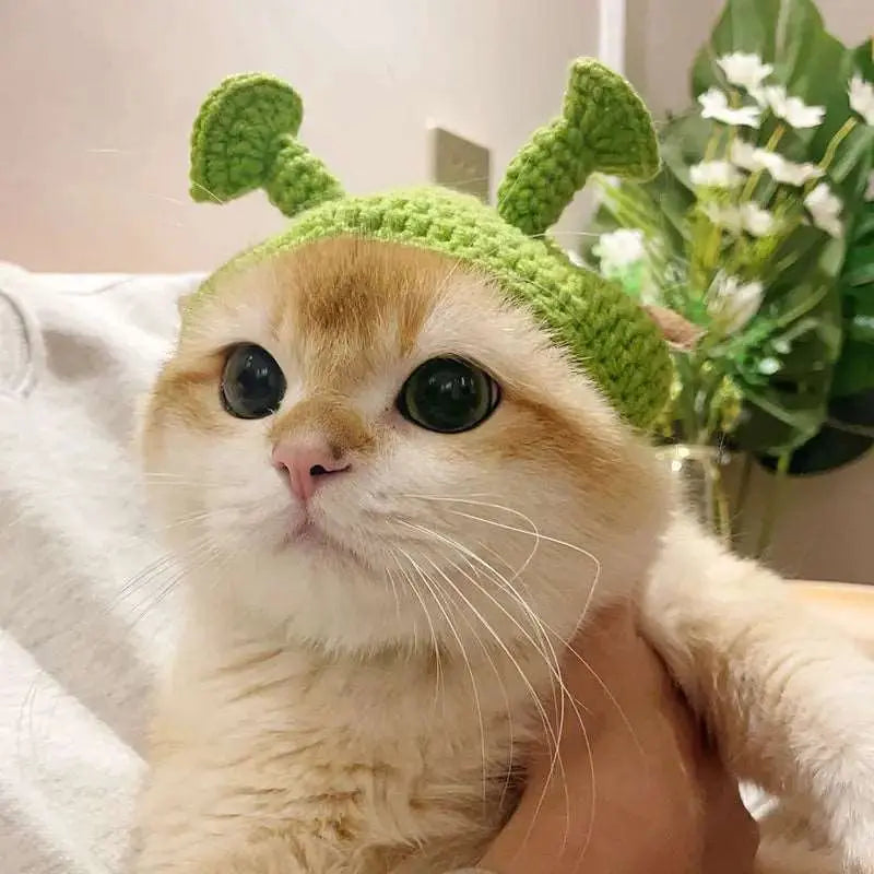 Bobo - Bonnet chic - MyPetsFriends