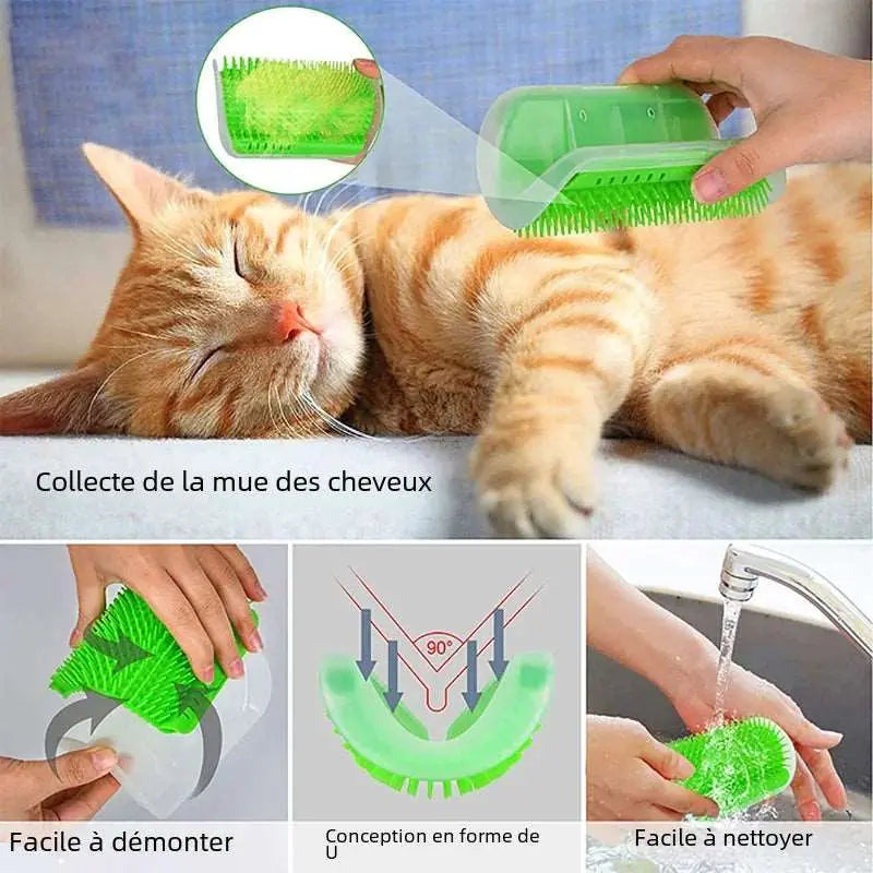 Scratch - Grattoir - MyPetsFriends