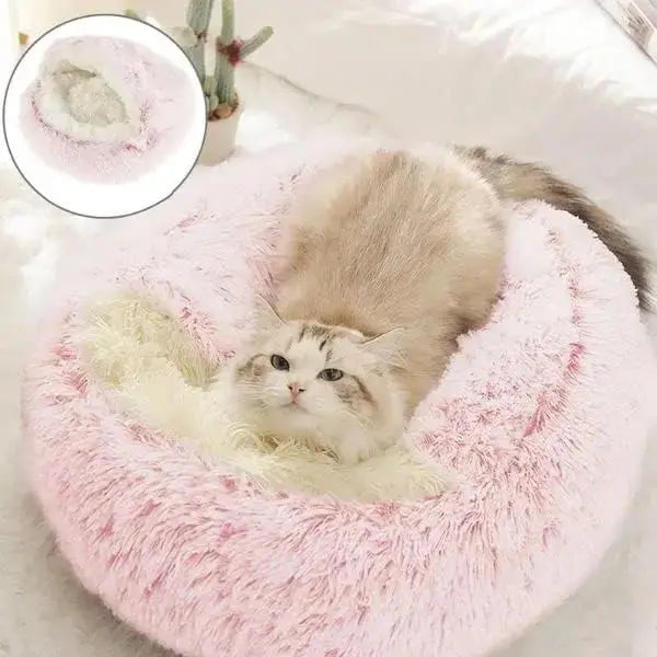 Looney - Nid douillet - MyPetsFriends