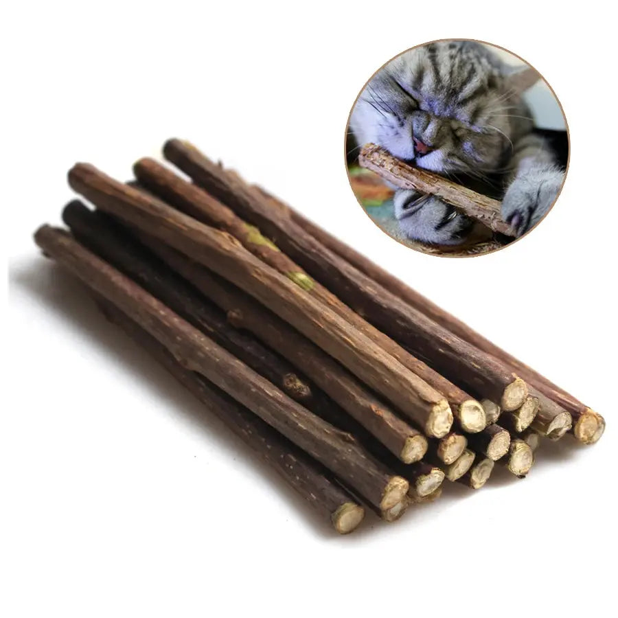 Snacks - Baton d'herbe à chat - MyPetsFriends