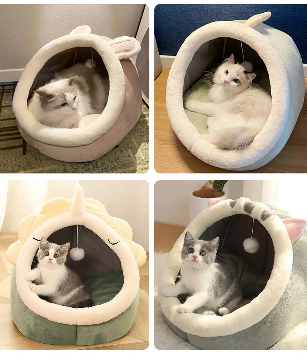 Terra - Nid cosy - MyPetsFriends