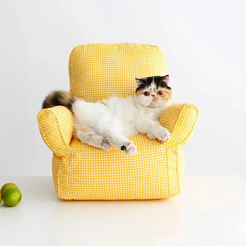 Cenura - Mini Fauteuil - MyPetsFriends