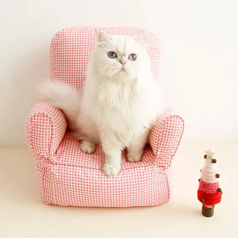 Cenura - Mini Fauteuil - MyPetsFriends