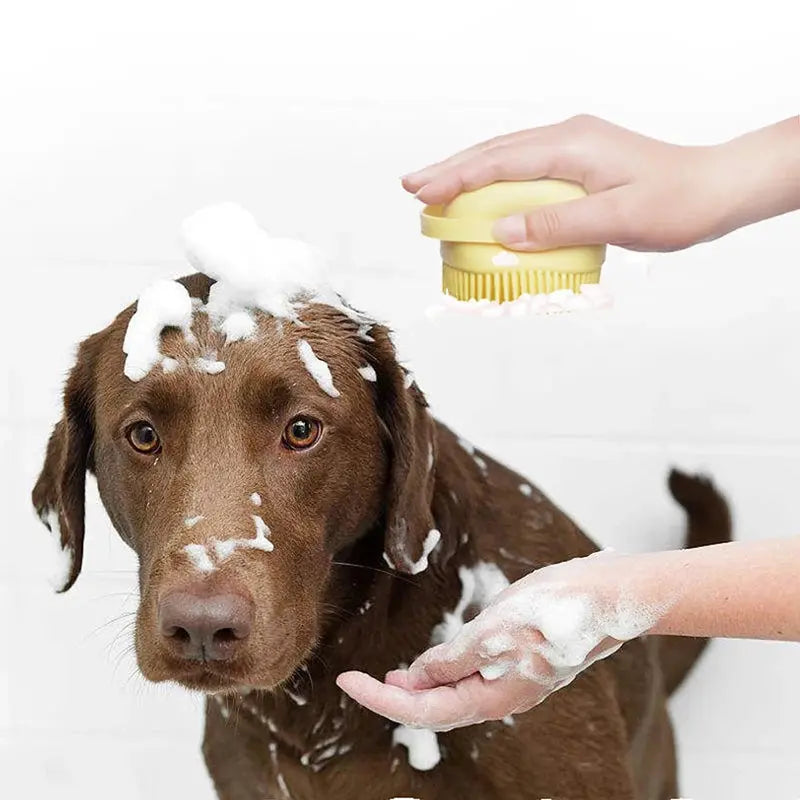 Shampoo - Brosse lavante - MyPetsFriends