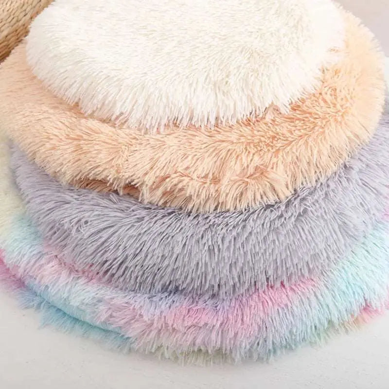 Aladin - Tapis douillet - MyPetsFriends