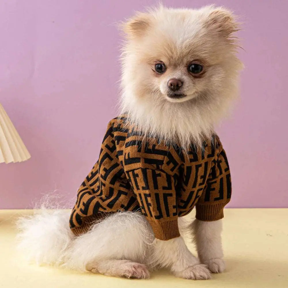 Sinay - Habit chic - MyPetsFriends