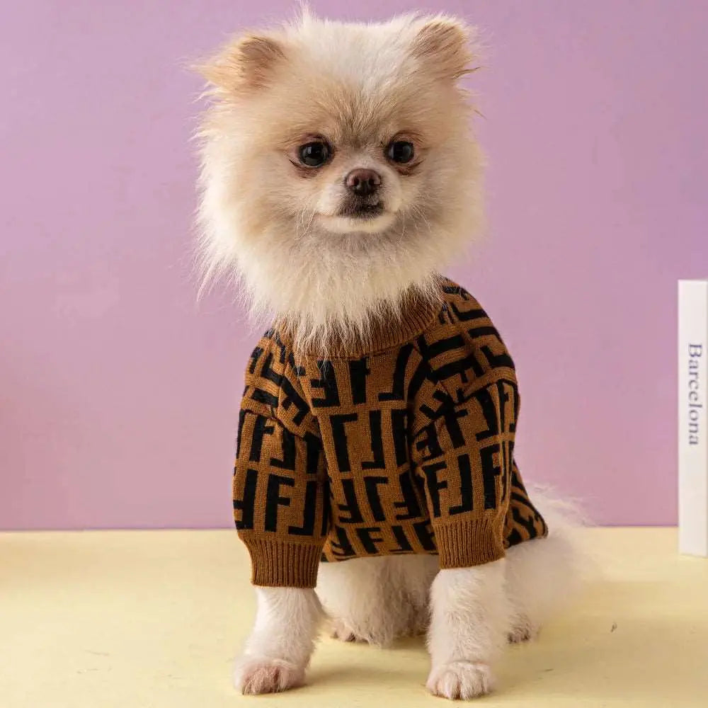 Sinay - Habit chic - MyPetsFriends