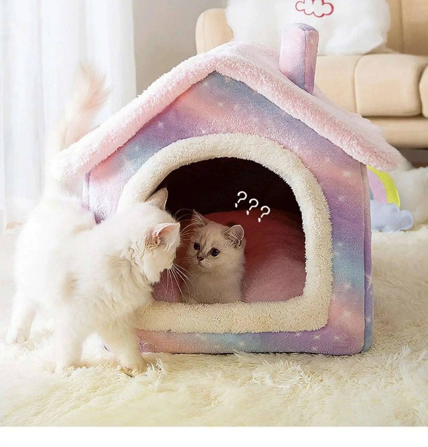 Lucia - Maisonnette - MyPetsFriends
