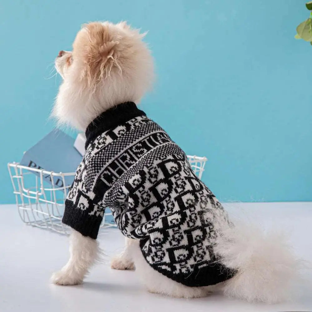 Blackie - Habit chic - MyPetsFriends