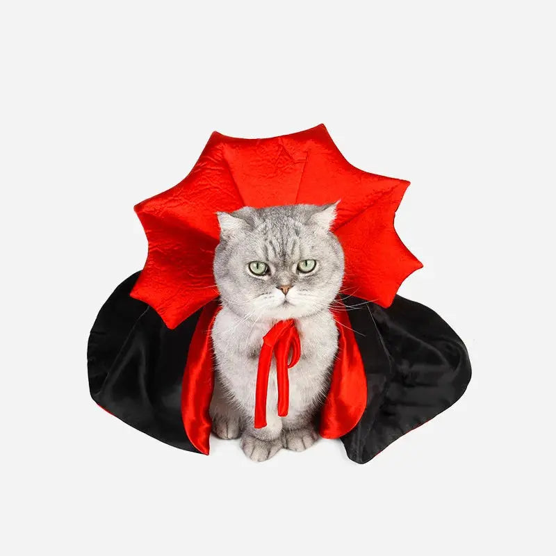 Dracula - Déguisement - MyPetsFriends