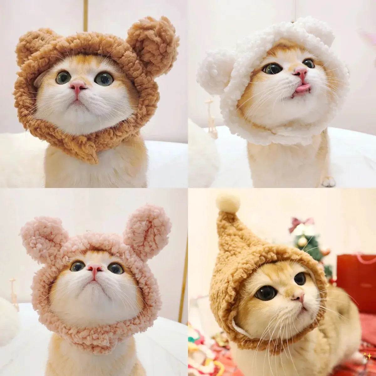 Winnie - Bonnet chic - MyPetsFriends