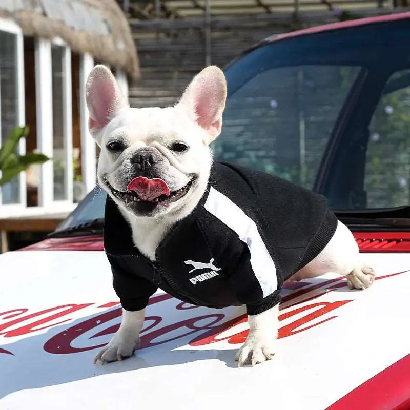 Sweat - Pull - MyPetsFriends