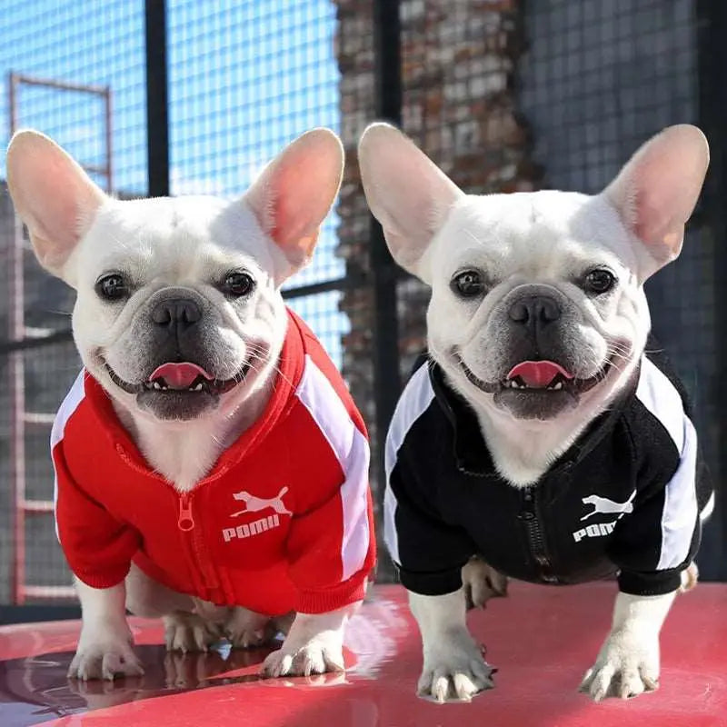 Sweat - Pull - MyPetsFriends