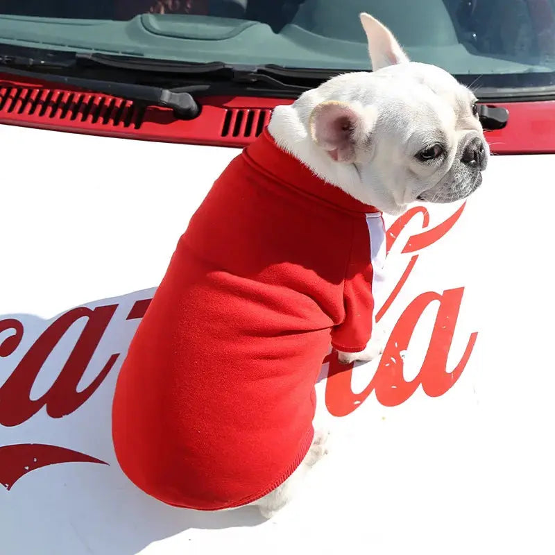 Sweat - Pull - MyPetsFriends