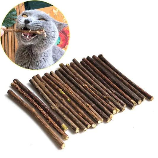 Snacks - Baton d'herbe à chat - MyPetsFriends