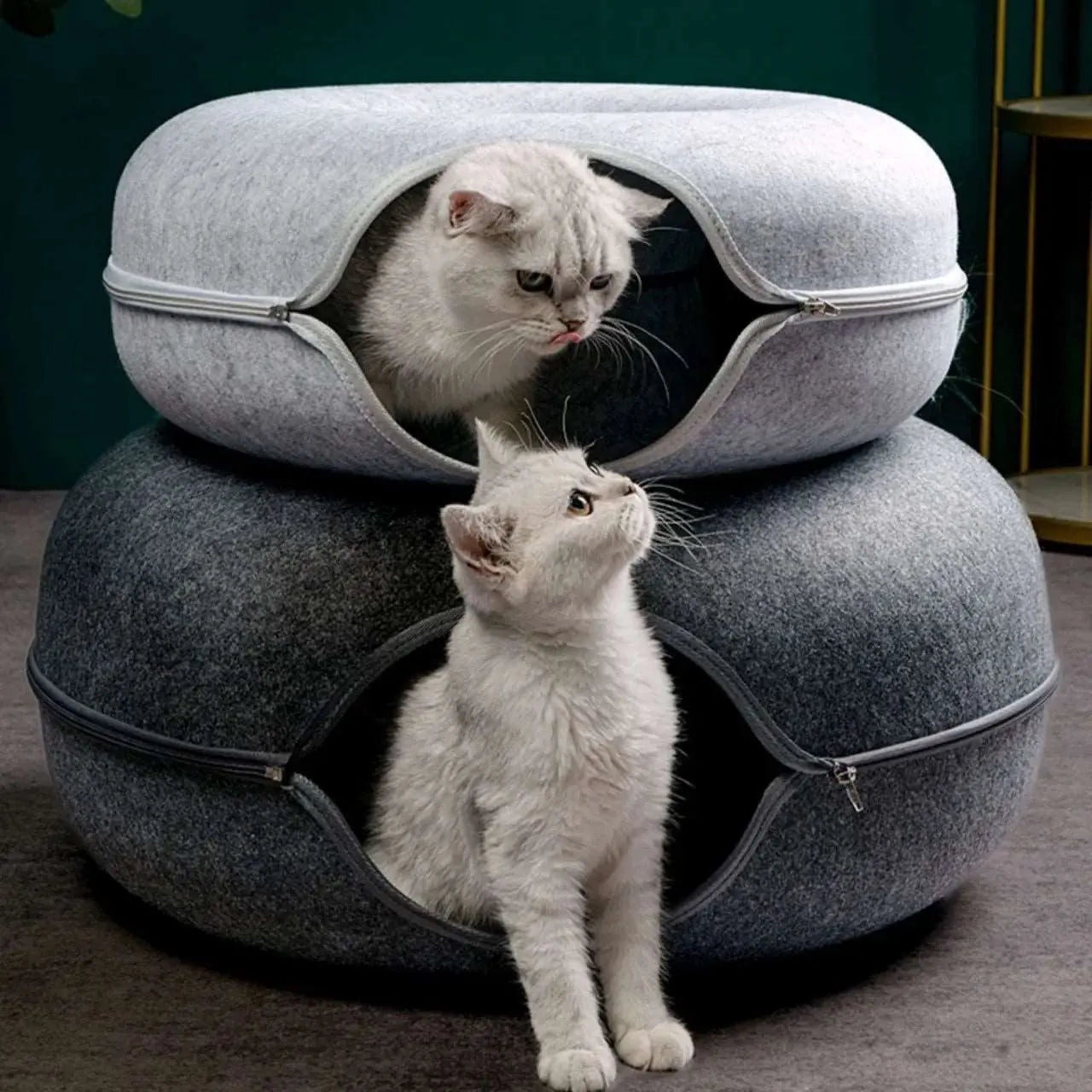Donut - Nid douillet - MyPetsFriends