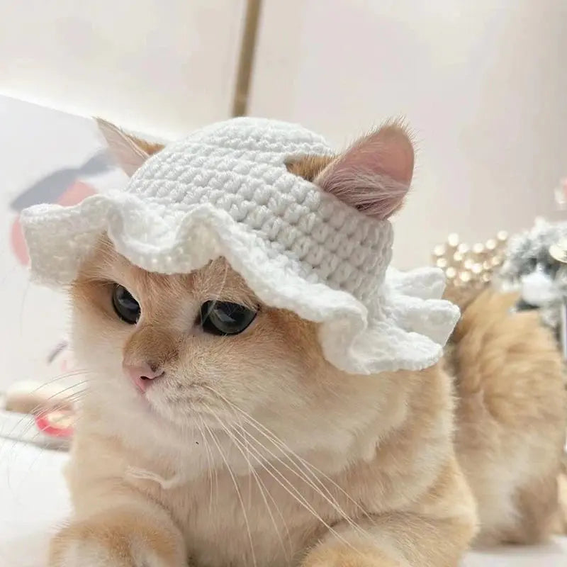 Bobo - Bonnet chic - MyPetsFriends