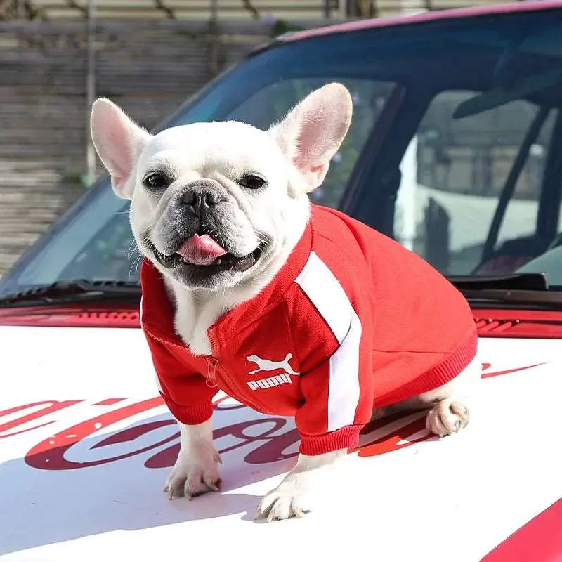 Sweat - Pull - MyPetsFriends