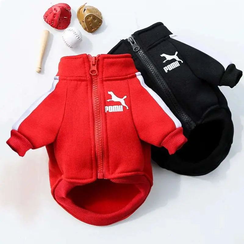 Sweat - Pull - MyPetsFriends