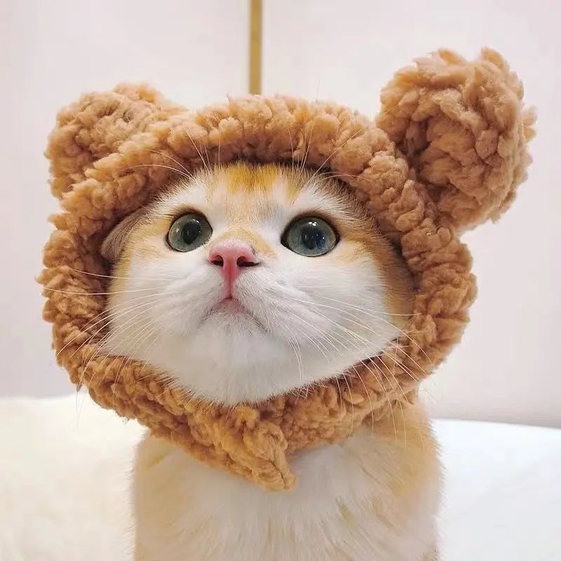 Winnie - Bonnet chic - MyPetsFriends