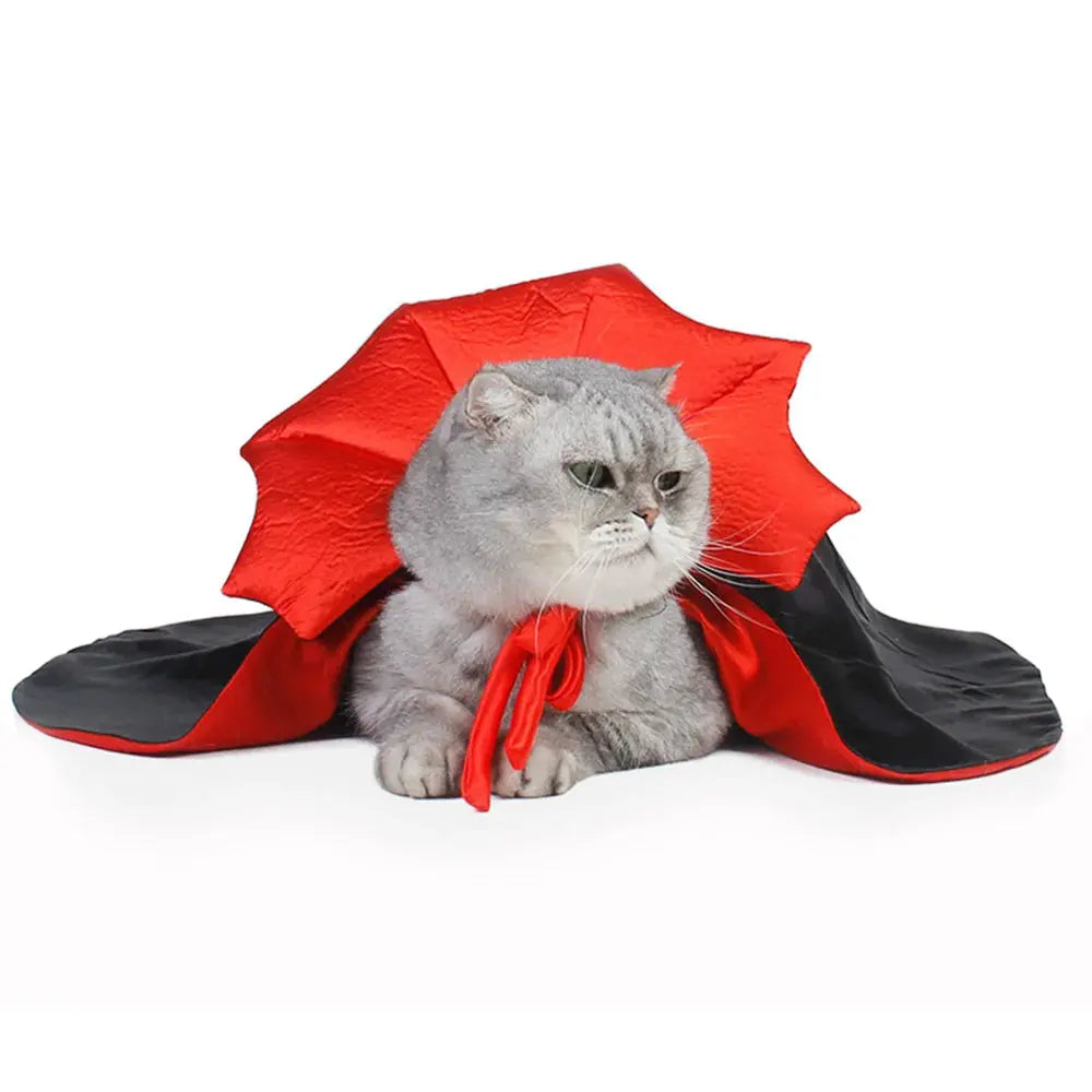Dracula - Déguisement - MyPetsFriends