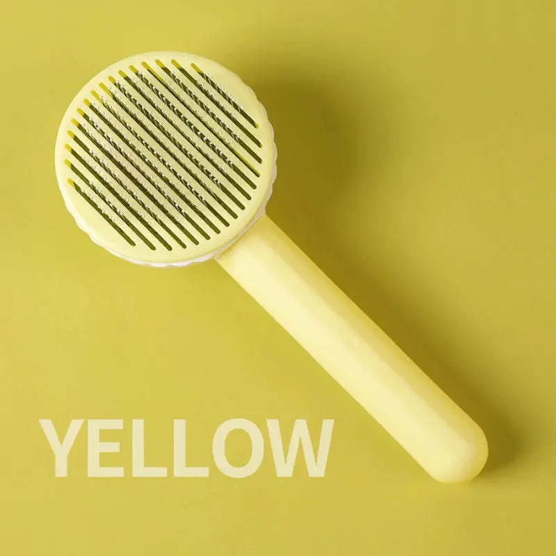49653578858831