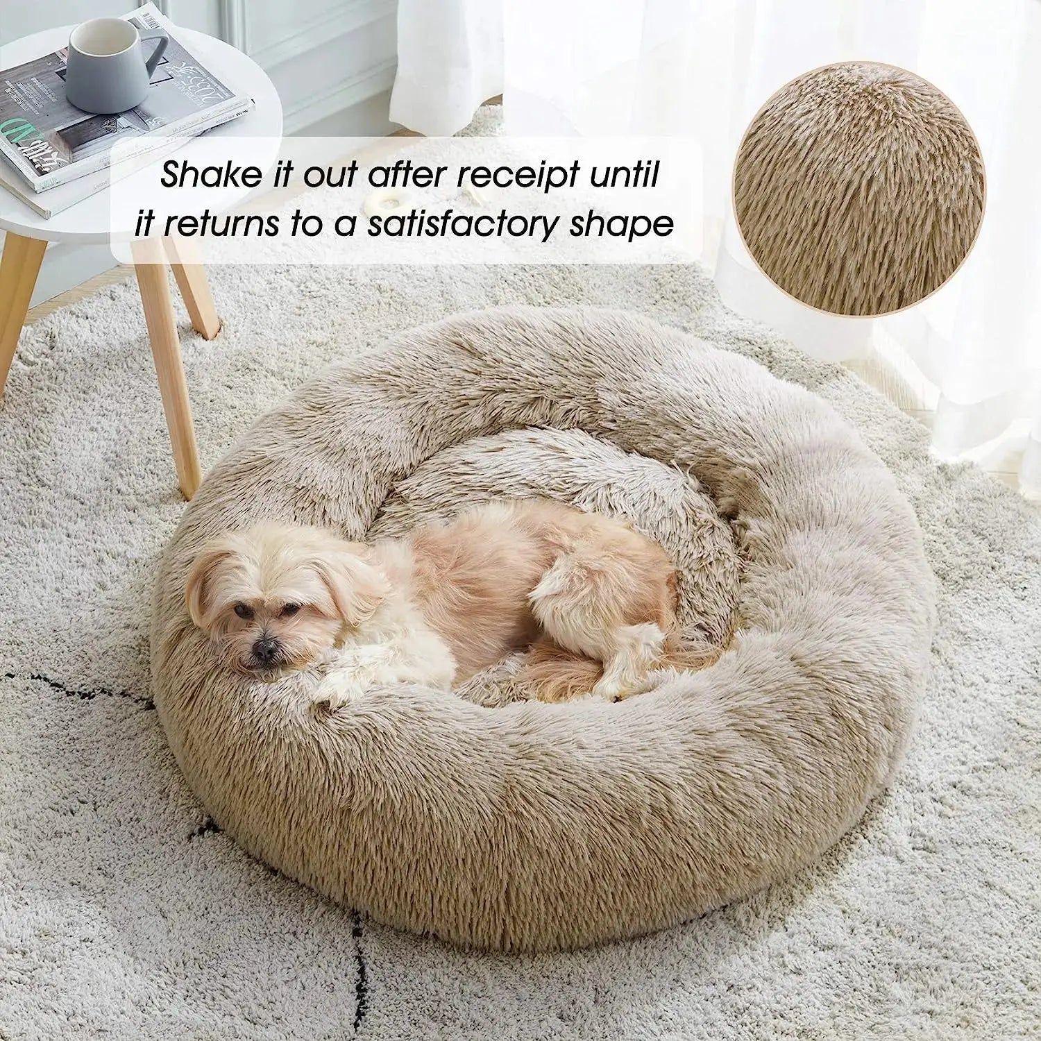 Teddy - Nid douillet - MyPetsFriends