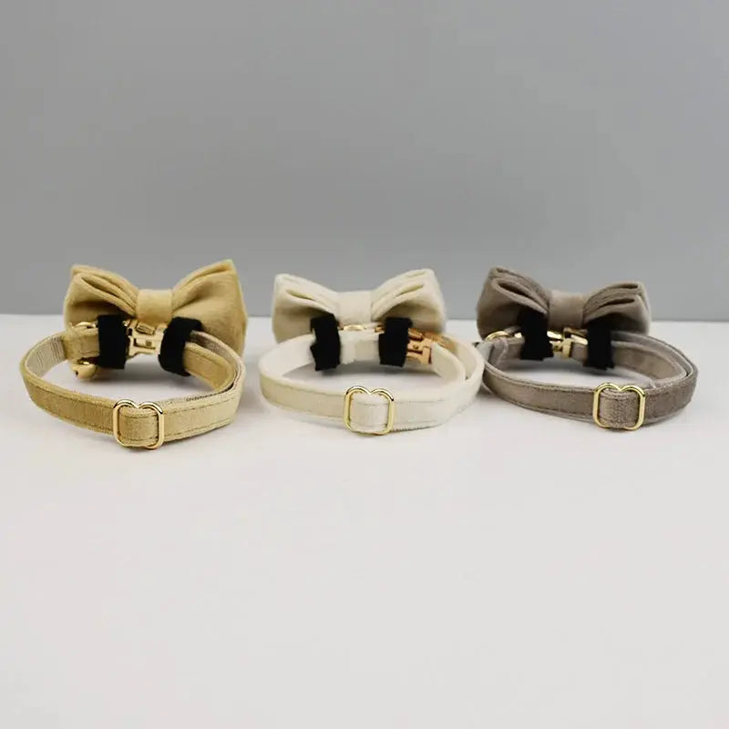 Novia - Noeud papillon - MyPetsFriends