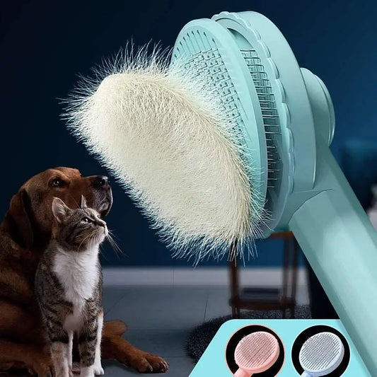 Brushy - Brosse - MyPetsFriends