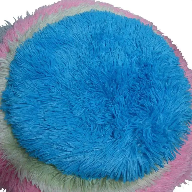 Aladin - Tapis douillet - MyPetsFriends