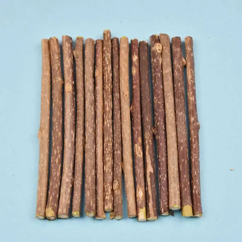 Snacks - Baton d'herbe à chat - MyPetsFriends