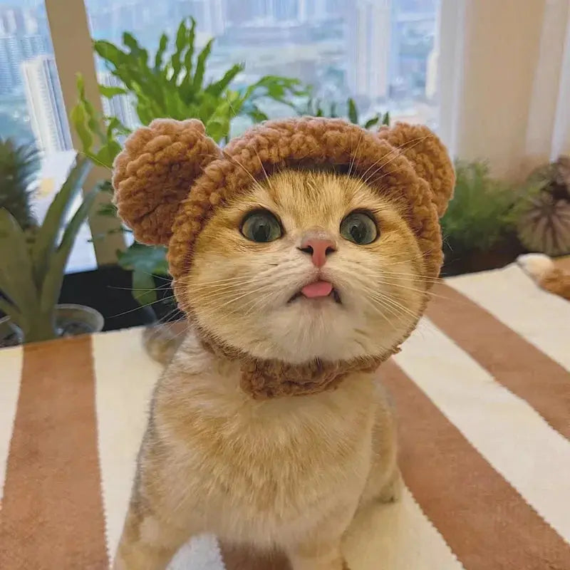Winnie - Bonnet chic - MyPetsFriends