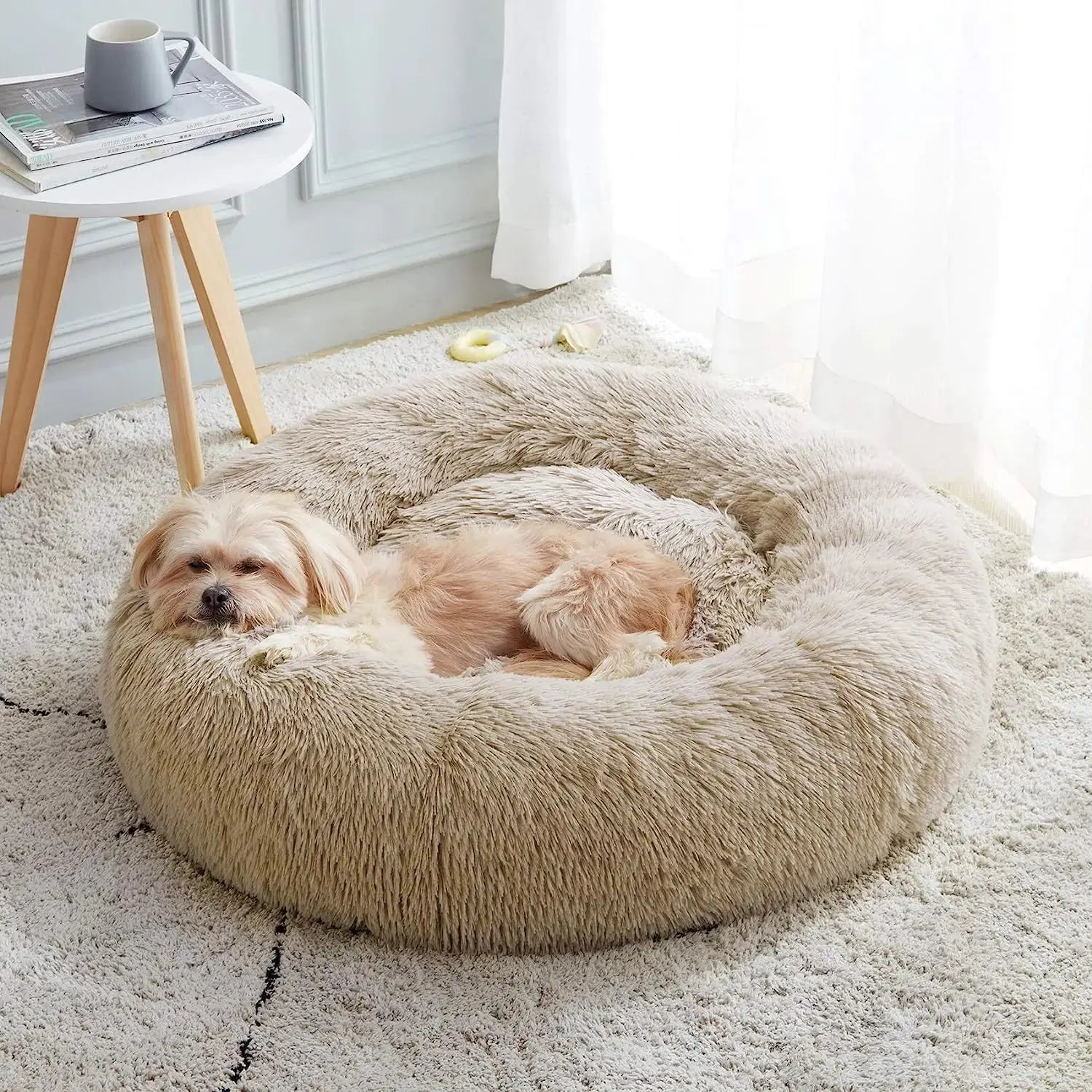 Teddy - Nid douillet - MyPetsFriends