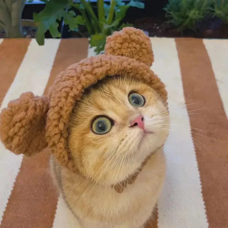 Winnie - Bonnet chic - MyPetsFriends