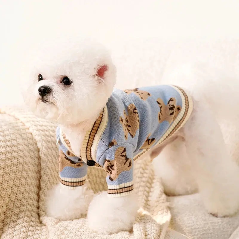 Loozy - Habit chic - MyPetsFriends