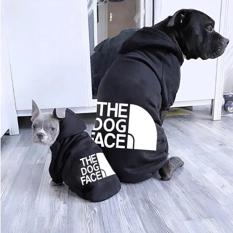 TheDogFace - Pull - MyPetsFriends