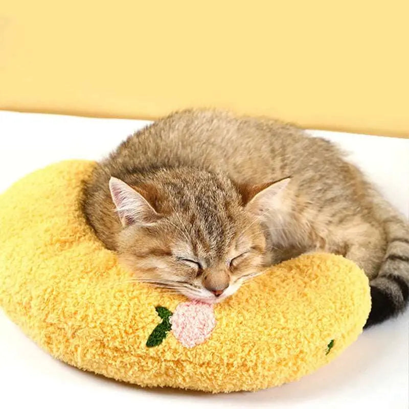 Softy - Coussin - MyPetsFriends