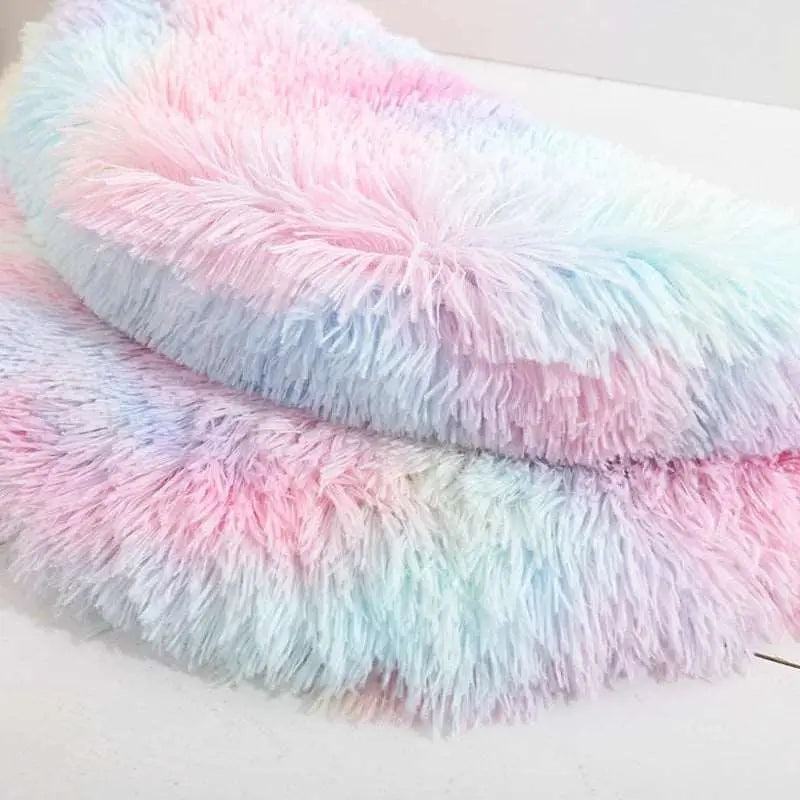 Aladin - Tapis douillet - MyPetsFriends