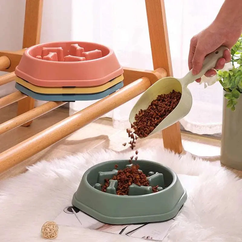 Foody - Gamelle - MyPetsFriends