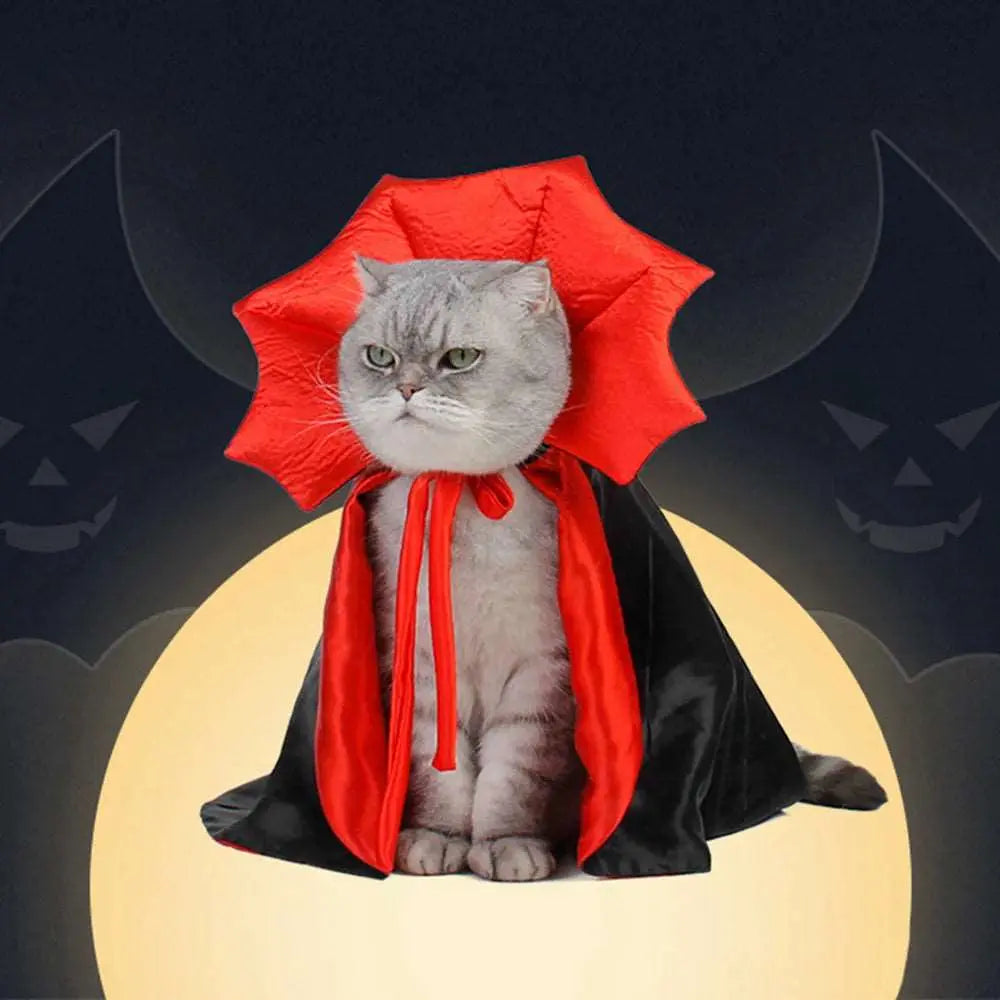 Dracula - Déguisement - MyPetsFriends